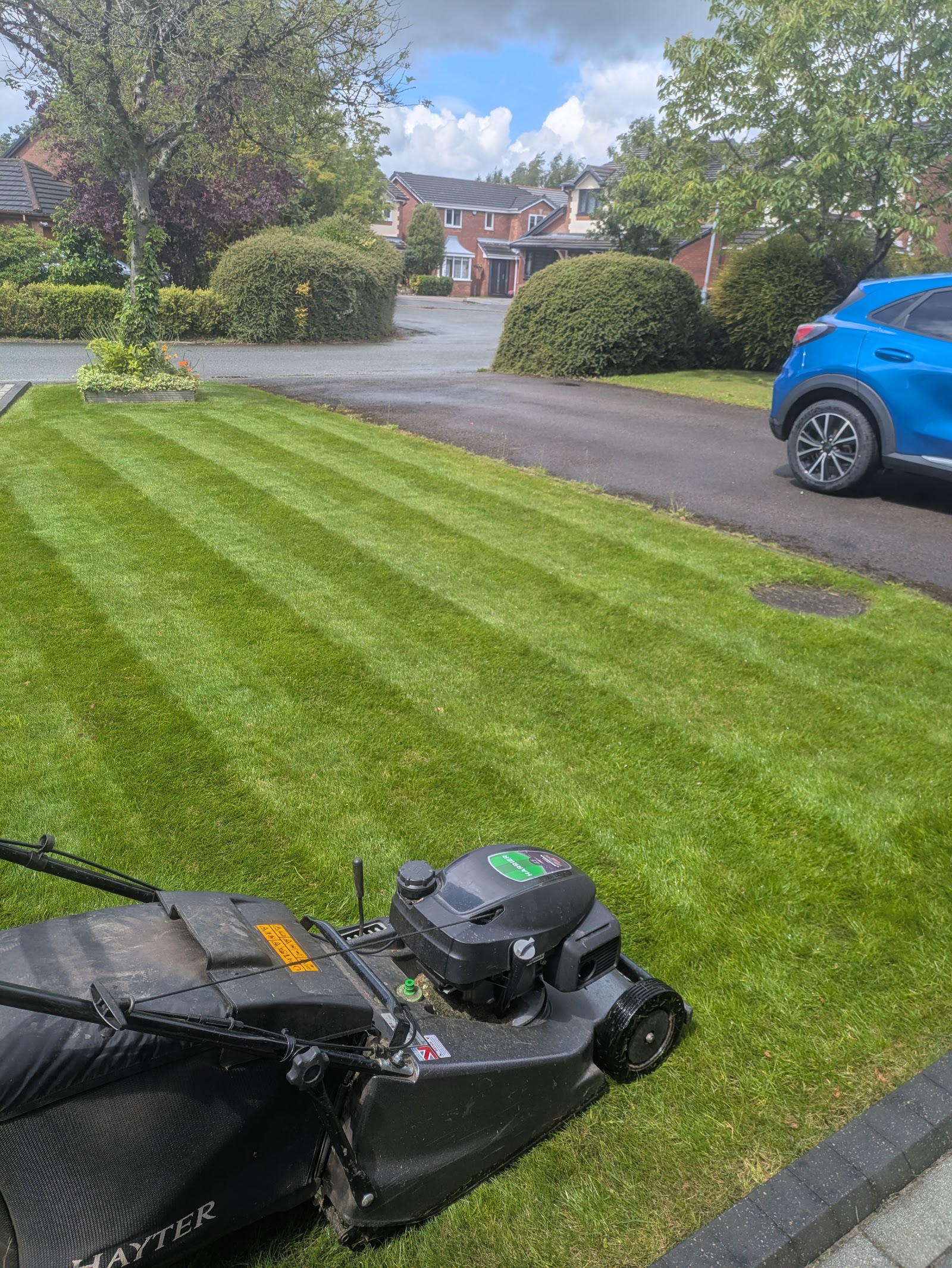 A freshly striped front lawn with the mower mid-cut, Westhoughton
