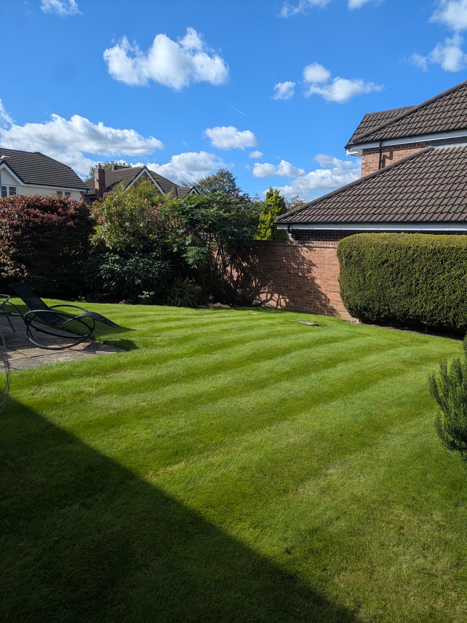 A striped back-garden lawn under blue sky, edged with mature hedging