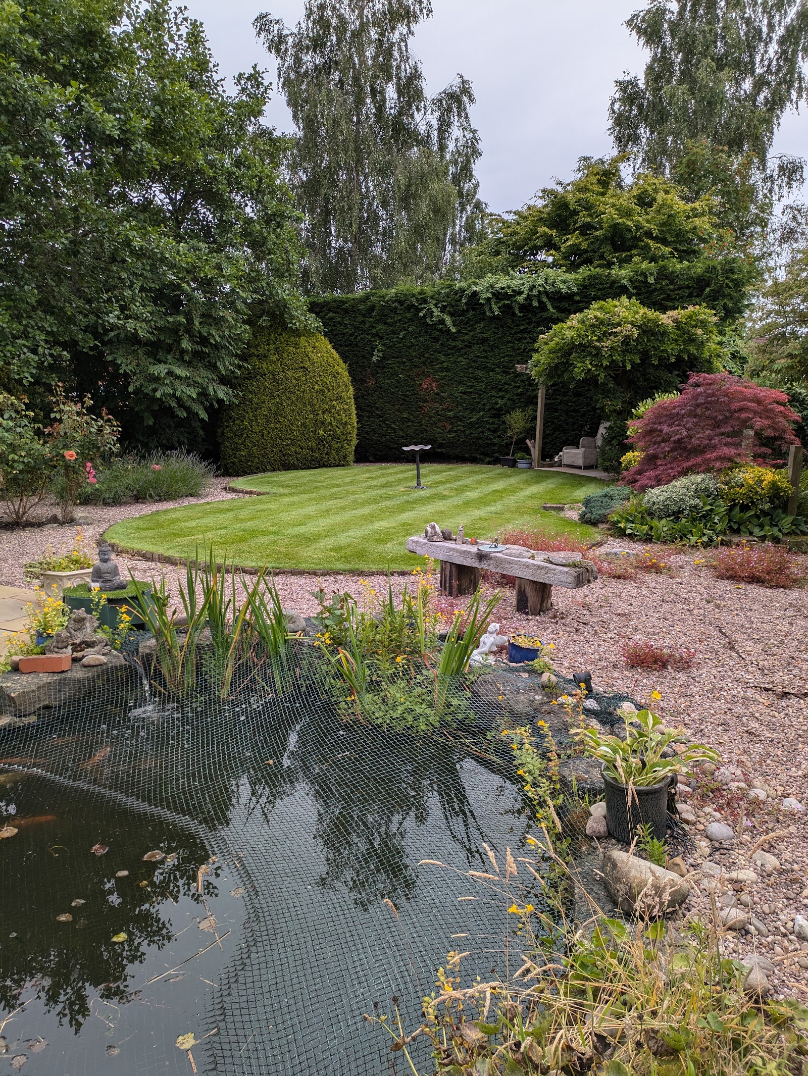 A mature, well-kept garden with a striped lawn, pond and clipped hedging maintained by Parker's Gardens