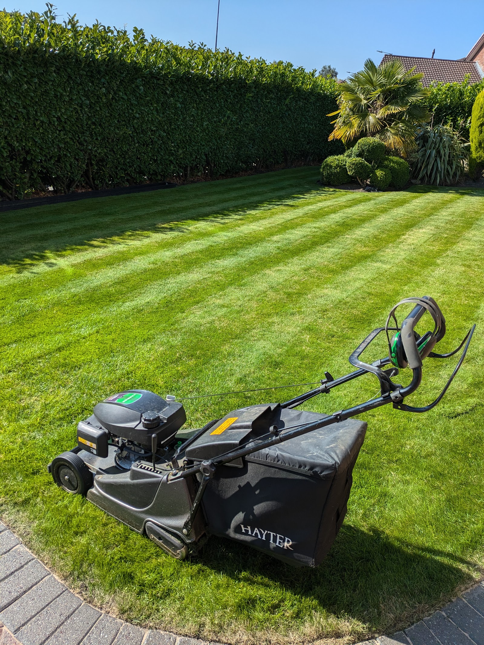 A neatly striped lawn beside a clipped hedge after a cut by Parker's Gardens